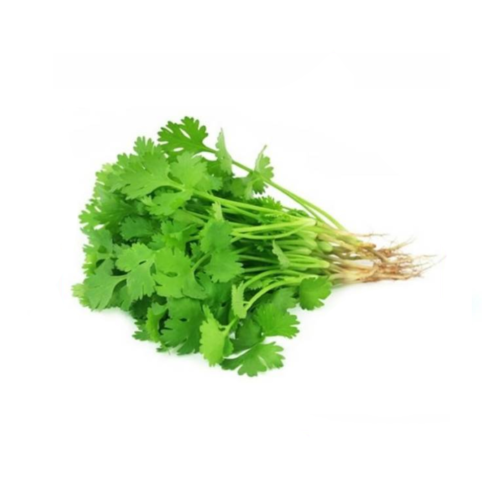 Daun Ketumbar